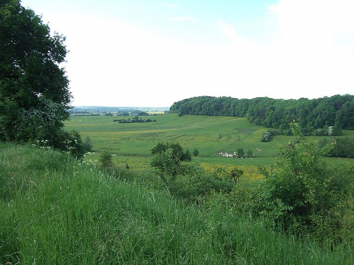 2008-05- (522).JPG - Auf dem Weg